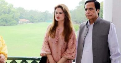 Hacker revealed about girl with CM Pervaiz Elahi in Picture