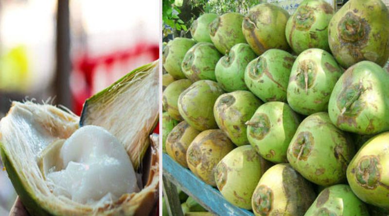 coconut water health tips natural nutrient powers 100 cures one medicine