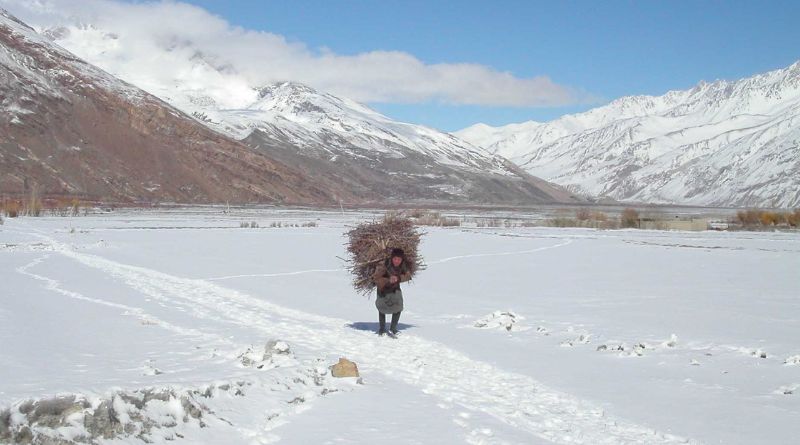 Child-carrying-woods-in-northern-pakistan-during-winter-season-to-keep-them-warm
